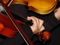 Playing Violin (Custom)